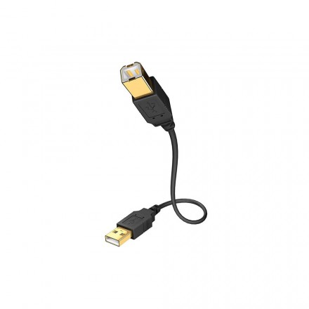 Кабель Inakustik Premium 1070002 (USB A - USB B, 2м)